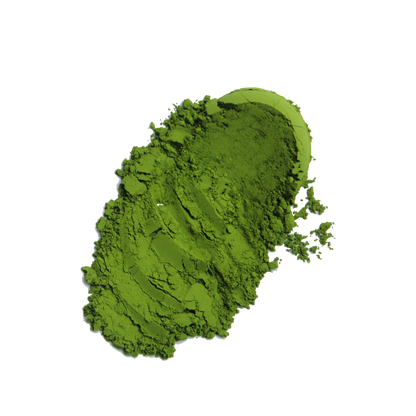 Matcha Cultivar Único_Saemidori (Premium Matcha)